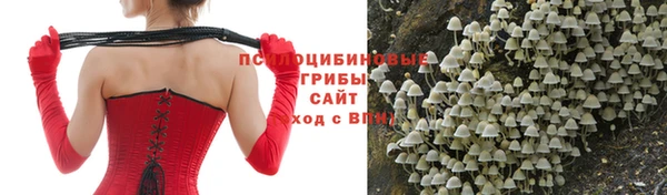 каннабис Белокуриха