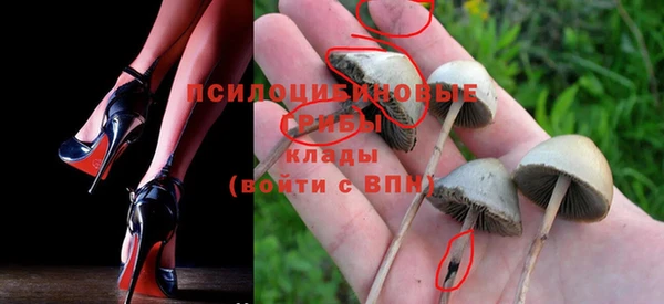 каннабис Белокуриха