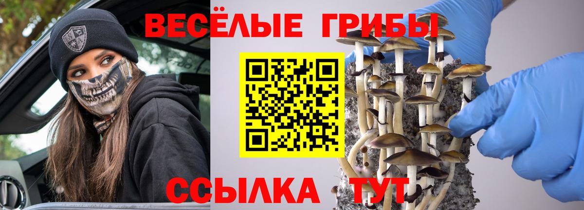 Псилоцибиновые грибы мицелий Бугульма